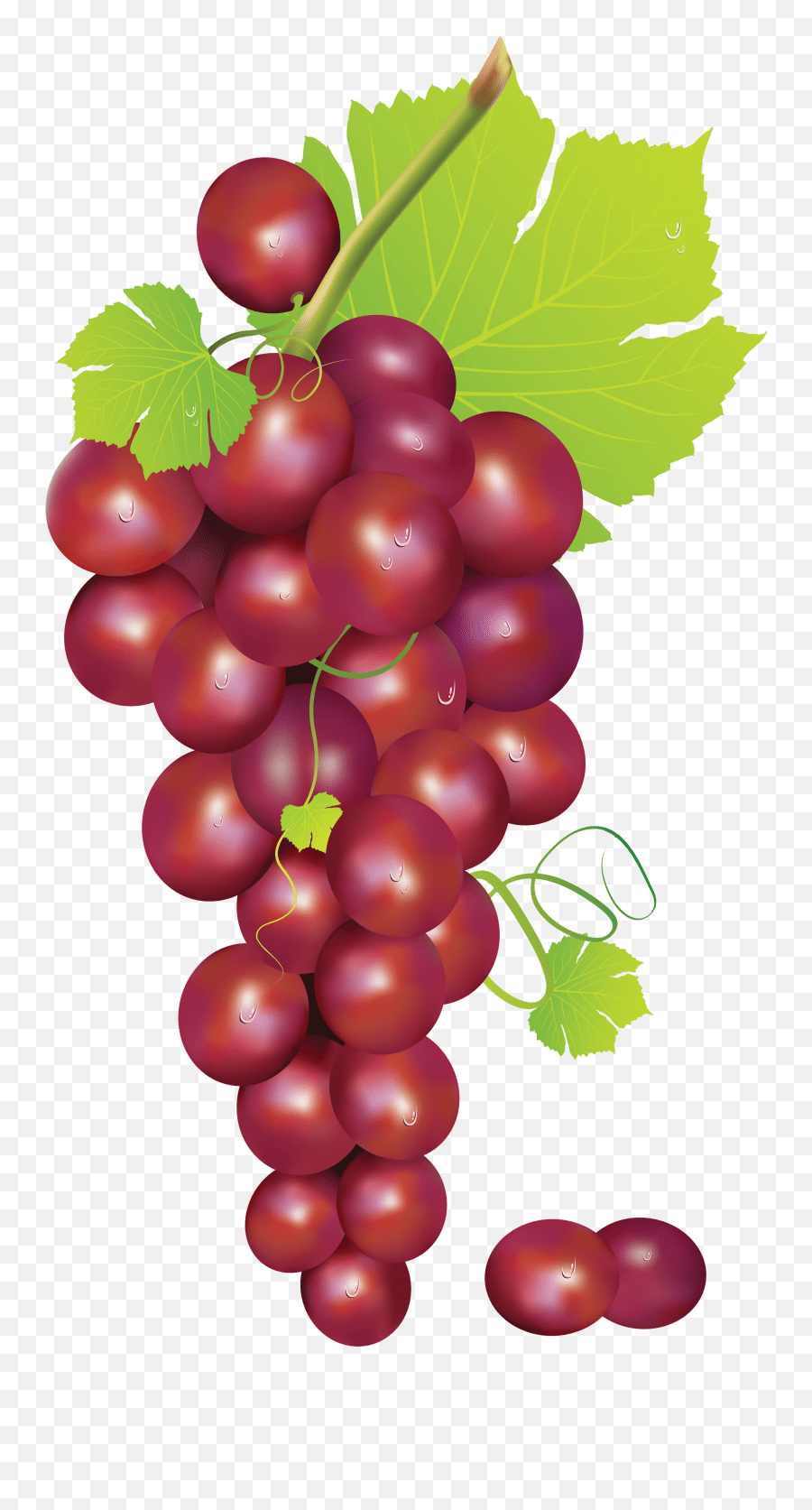 Grapes Grape Art Red Grapes Clipart Emoji,Grape Emoji free