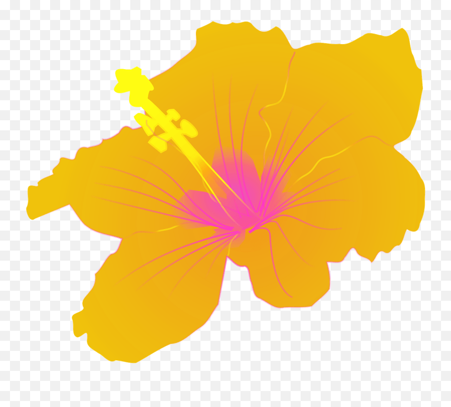 Hibiscus Flower Tropical Floral Petal Hibiscus Clip Art Emoji