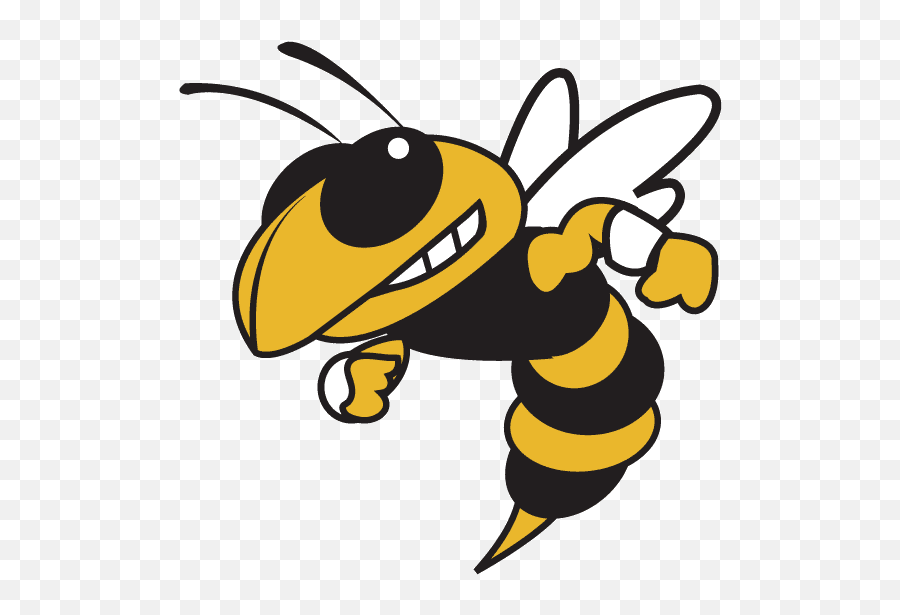 Tech Football Tech Yellow Jackets Flag