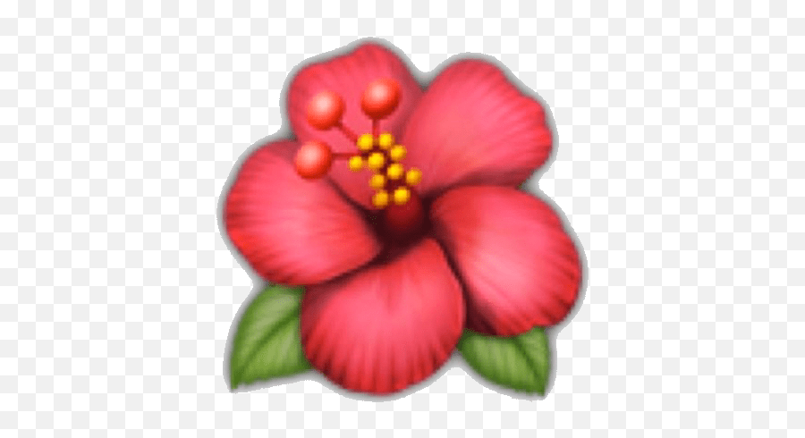 Flower Emoji Phone Like4Like F4F Comment Bell Notificat - Hibiscus Flower Emoji Iphone,Bell Emoji Png - Free Transparent Emoji - Emojipng.com