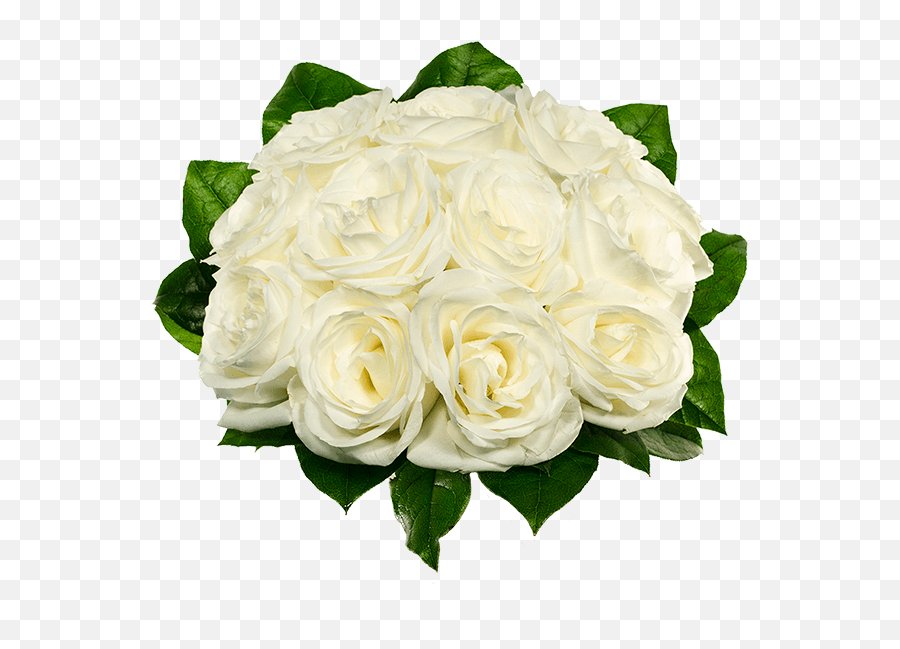 Housewarming Flowers Housewarming Baskets Fromyouflowers Rose