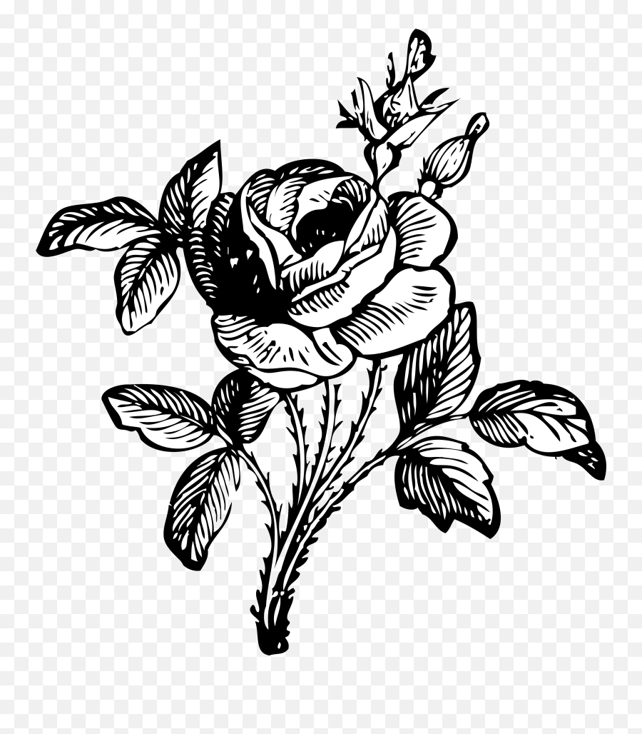 Free Black And White Rose Drawing Flower Bouquet Clipart Black And