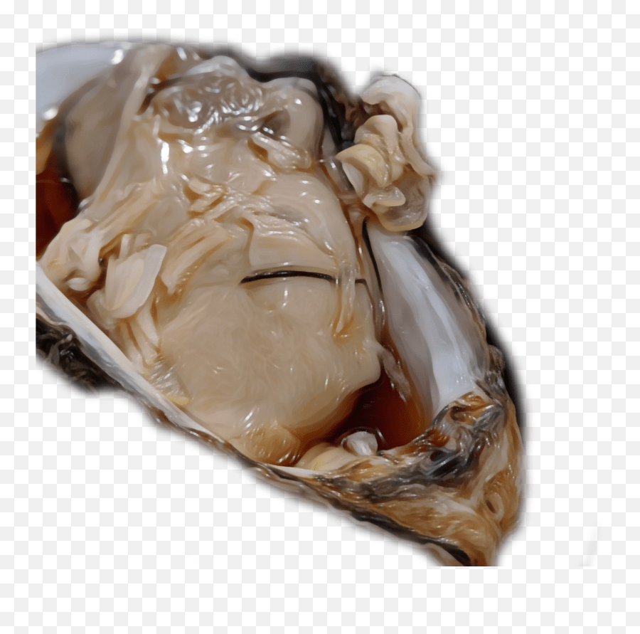 The Newest Oyster Stickers Tiostrea Chilensis Emoji,Oyster Emoji