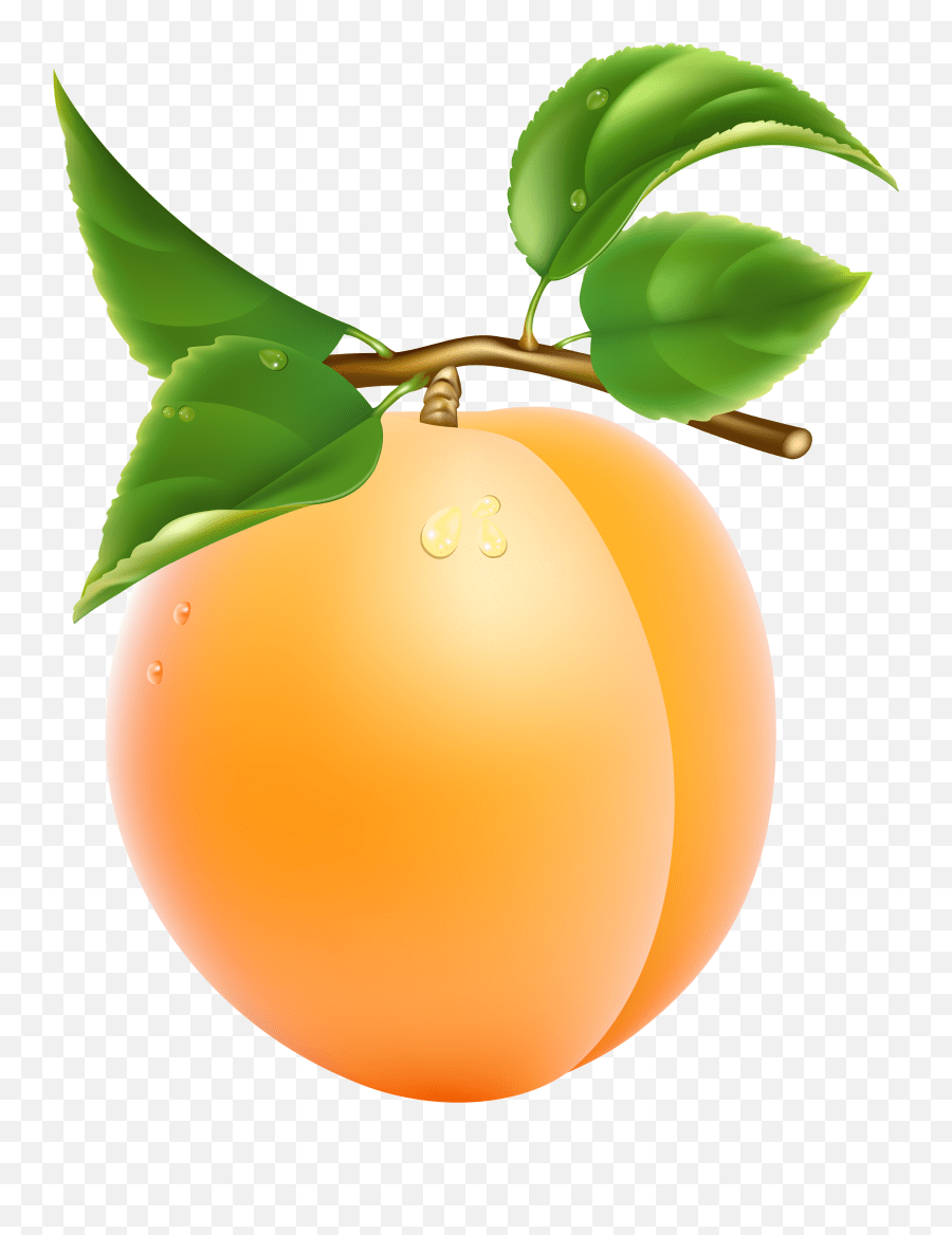 Clip Art Apricot Clipart Png Emoji,Peach Emoji Vector free