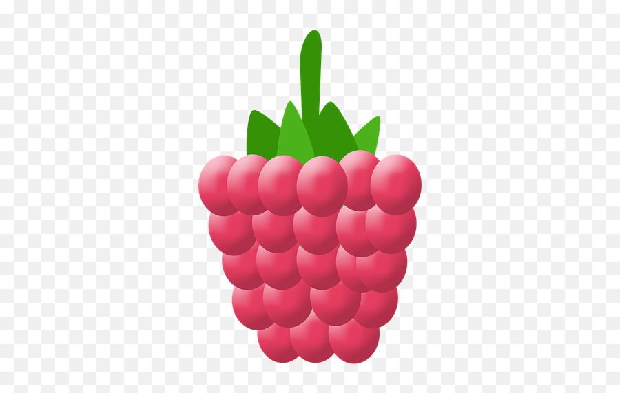80 Free Raspberries U0026 Raspberry Illustrations Pixabay Raspberry