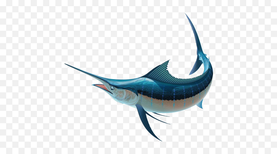The Mandela Effect 41 Emojis Wattpad Transparent Background Blue Marlin Png,Toaster Emoji