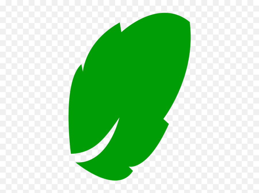 Icon Leaf Green Tree Nature Leaves Plant Clipart Portable Network