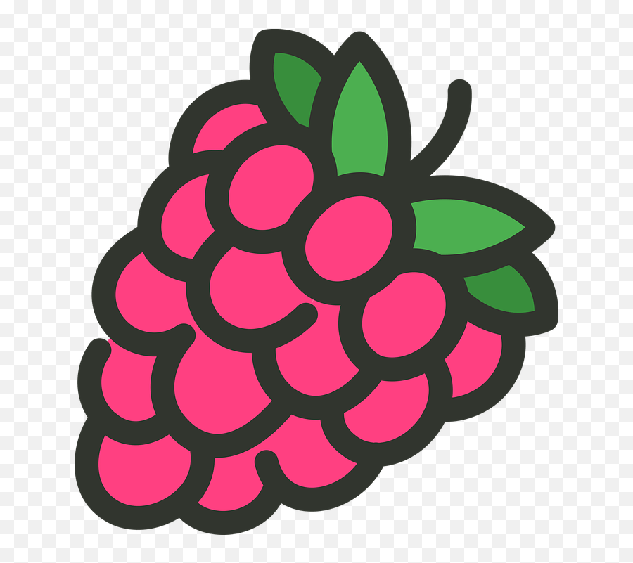 Pin Transparent Raspberry Emoji,Snapchat Friend Emojis free