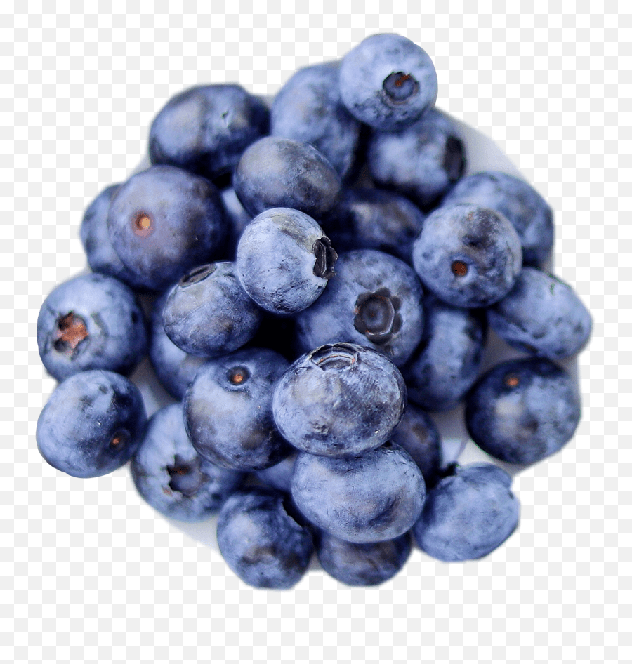 Popular And Trending Blueberries Stickers On Picsart Blueberry Emoji,Is There A Blueberry