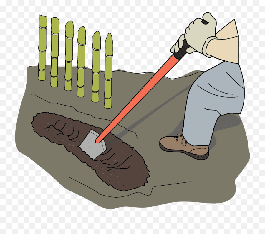 Dirt Clipart Dug Dirt Dug Transparent Trenches Clipart Png Emoji