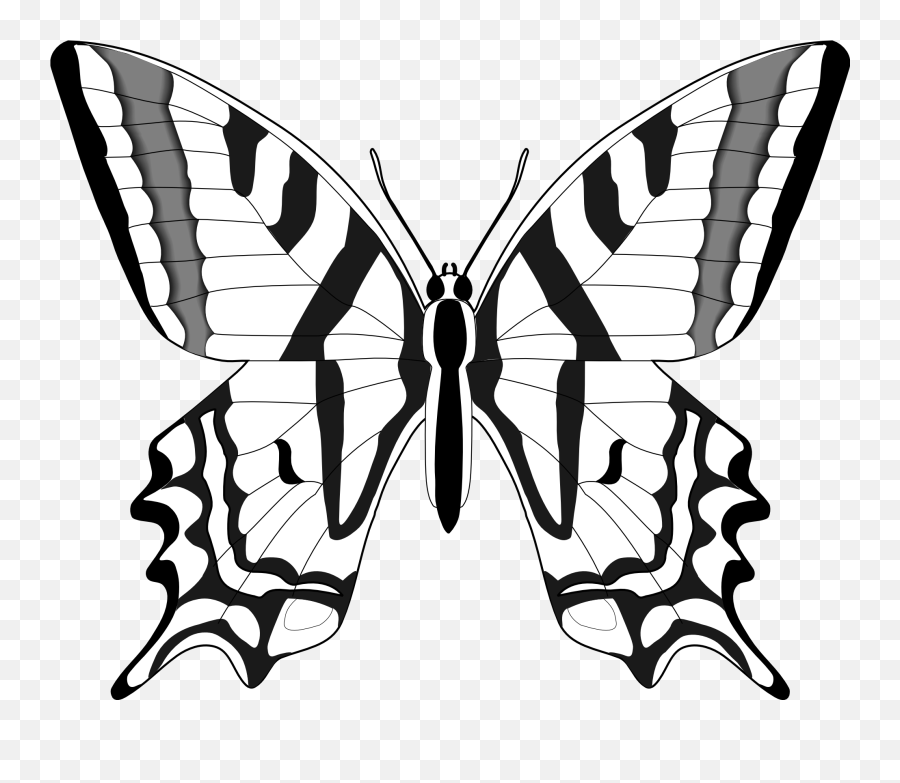 Nursery Drawing Butterfly Transparent U0026 Png Clipart Free Black