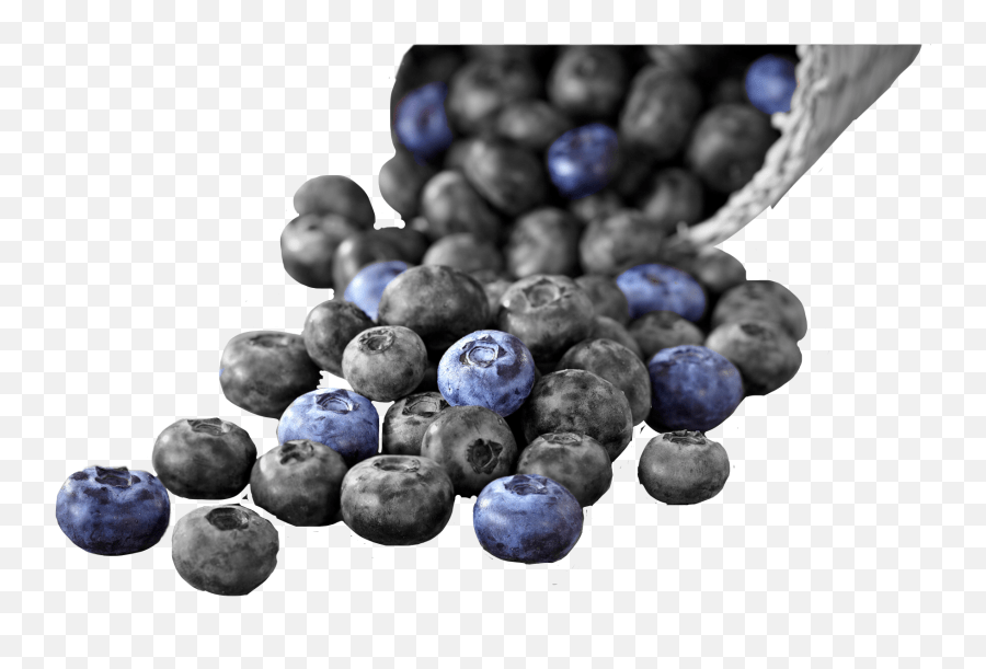 Blueberries Sticker By Emmawillard Cand Se Fac Afinele Emoji,Is There A Blueberry Emoji free