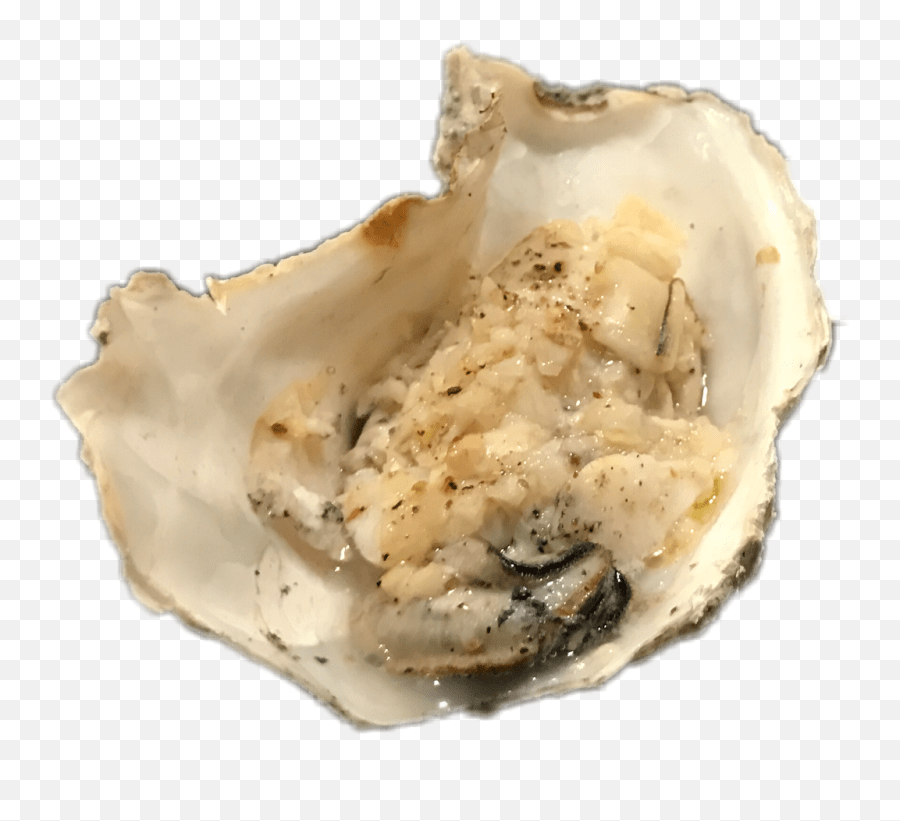 Oysterfreetoedit Tiostrea Chilensis Emoji,Oyster Emoji free