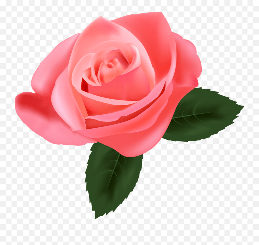 Pink Rose Png Clipart Rose Clipart Png Emoji,Rose Emoji Png free