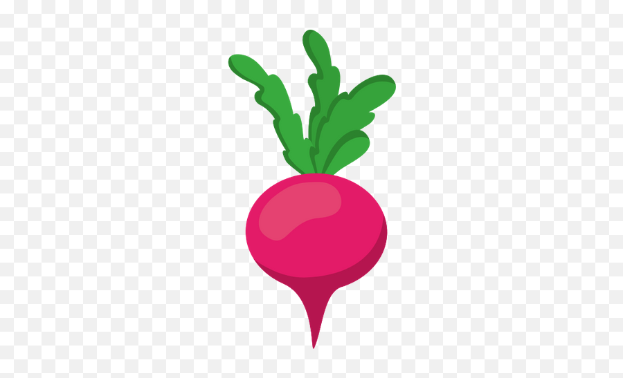 Radish Vector Transparent Png Clipart Vector Graphics Emoji,Radish