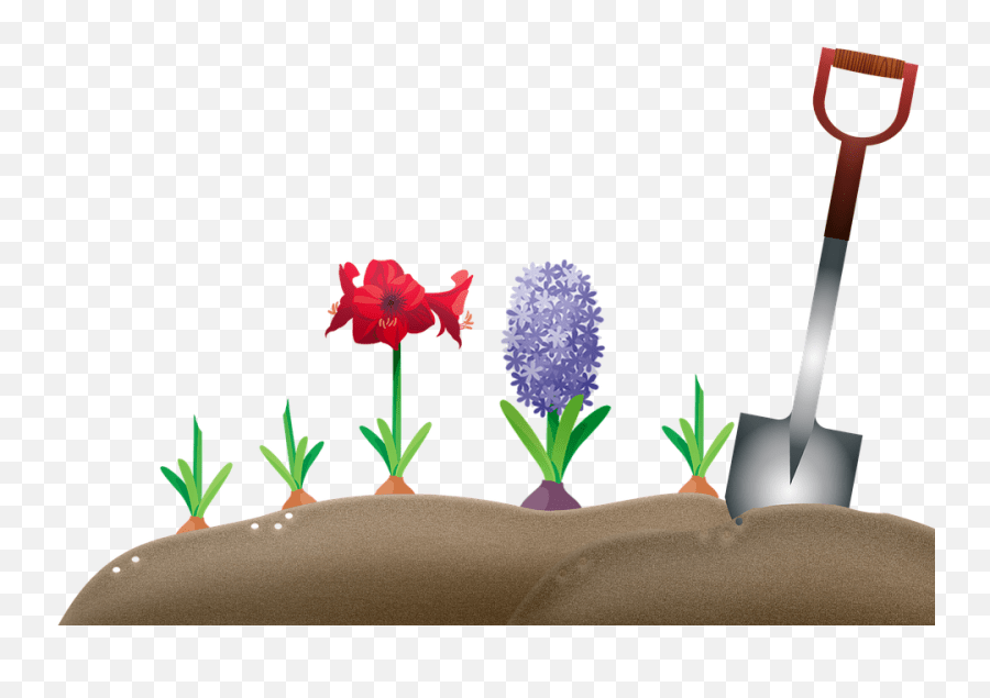 Garden Dirt Bulbs Hyacinth Emoji,Garden Hoe Emoji free transparent