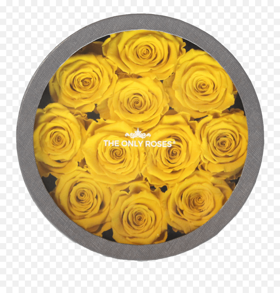 Yellow Preserved Roses Legion Warszawa Emoji,Roses Emoticon free