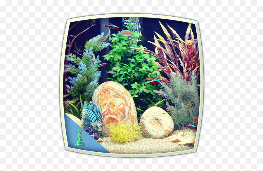 Colourful Tank Aquarium Emoji,Tropical Fish Emoji free transparent