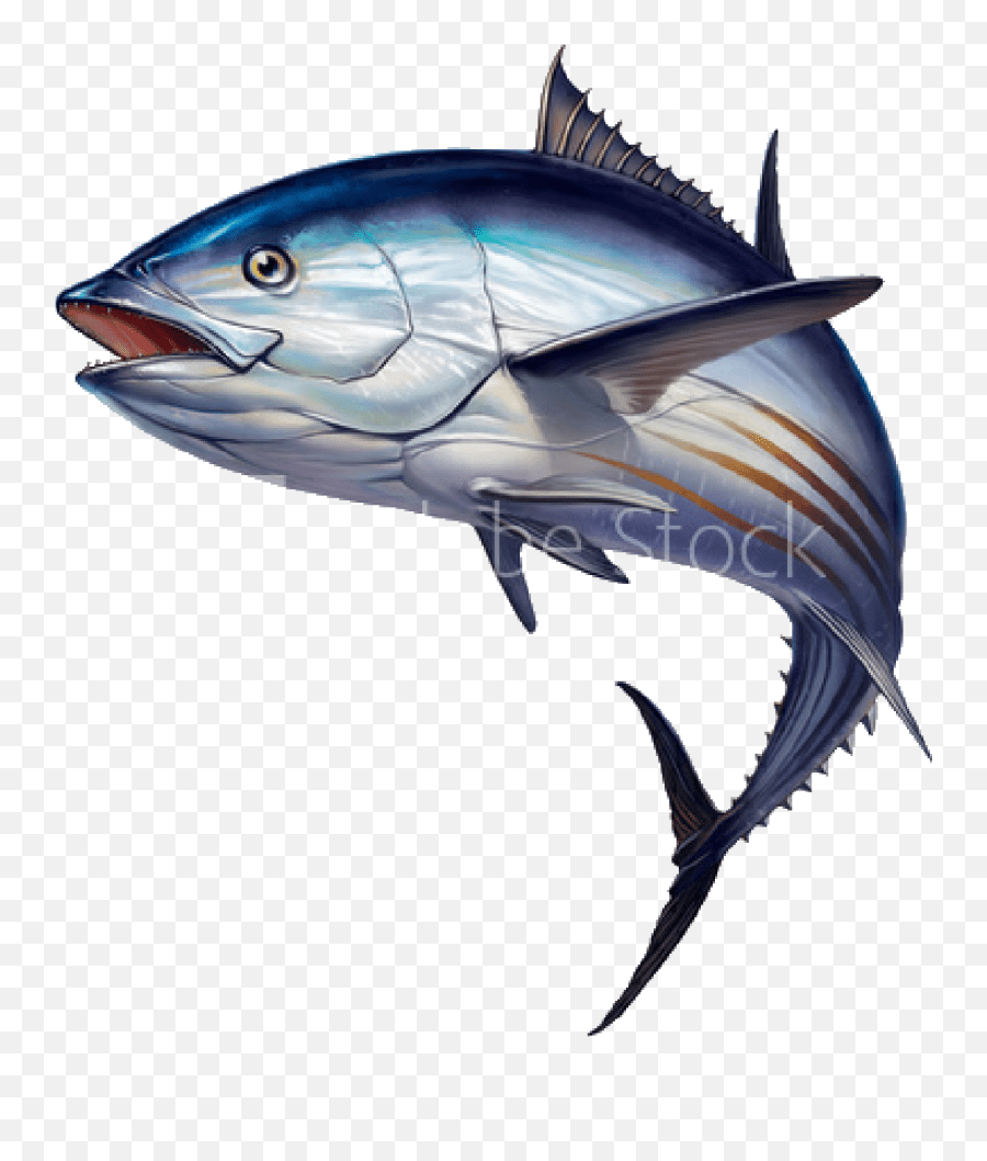 Popular And Trending Tuna Stickers On Picsart Bluefin Tuna Jumping