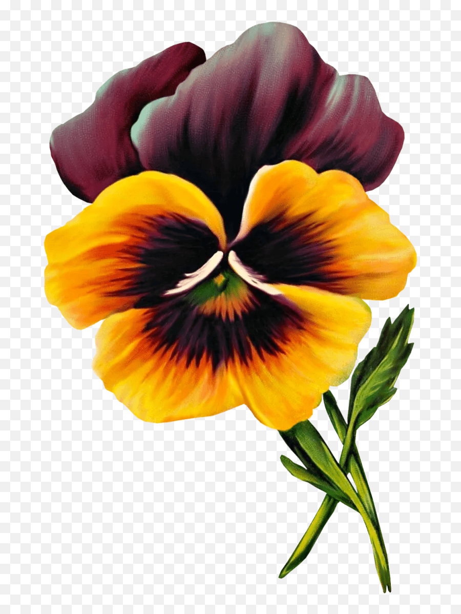 Cliparts Pansies Cartoon Transparent Emoji,Emoji Flowers Copy And Paste free transparent