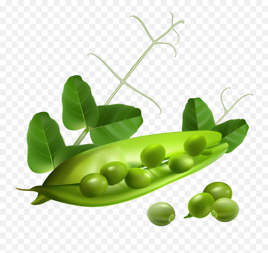 Edit Snap Pea Transparent Background Emoji,Peas Emoji Free Emoji