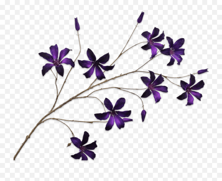 Silk Ka Clematis Velvet Purple 133 Cm Emoji,Emoji Pink Flower Meaning