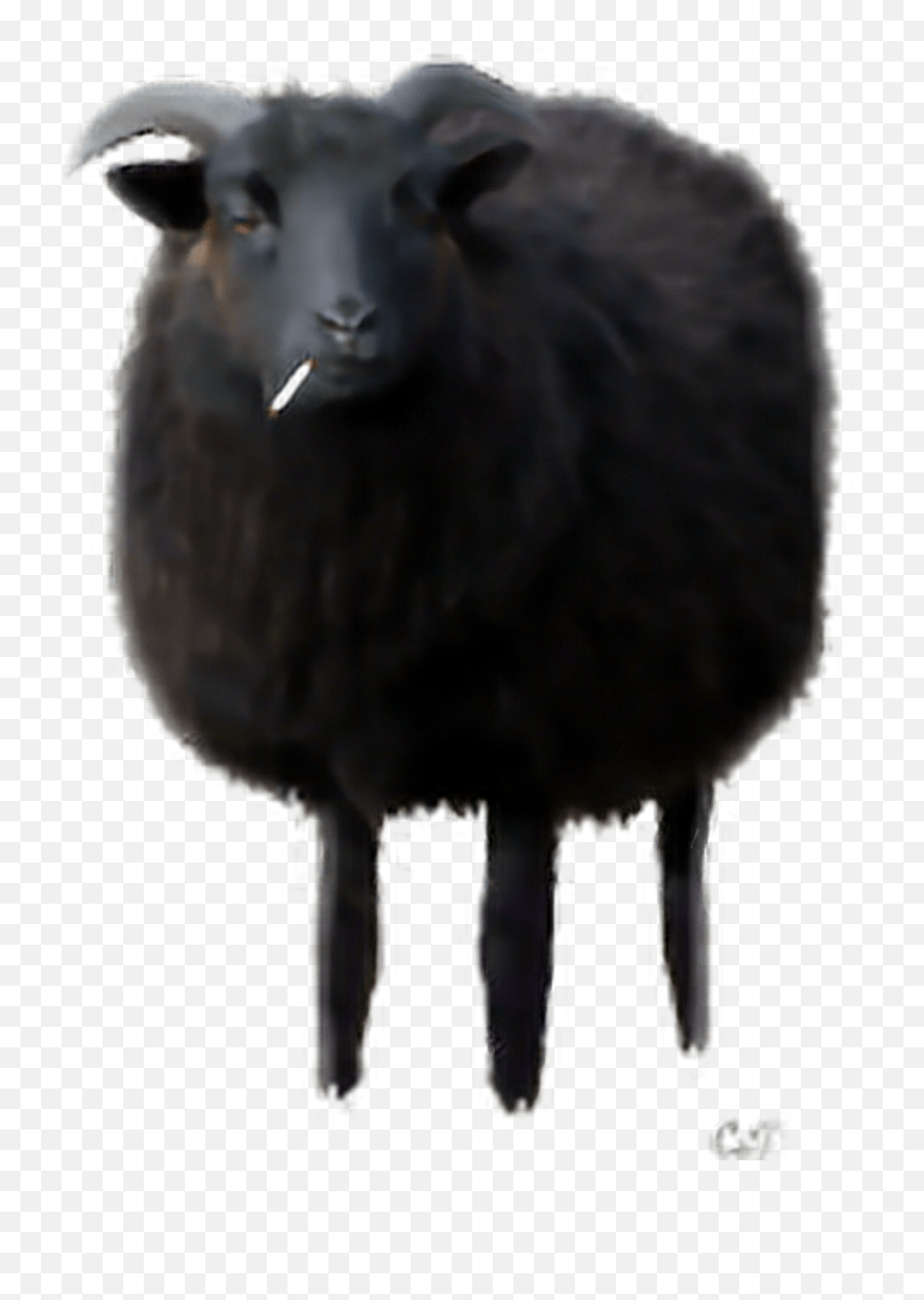 Blacksheep Sticker Sheep Emoji,Black Sheep Emoji Free Emoji PNG