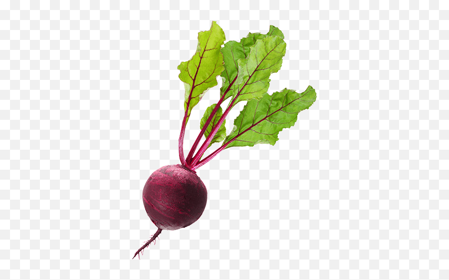 Beets Transparent Beetroot Png Emoji,Beets Emoji Free Emoji PNG