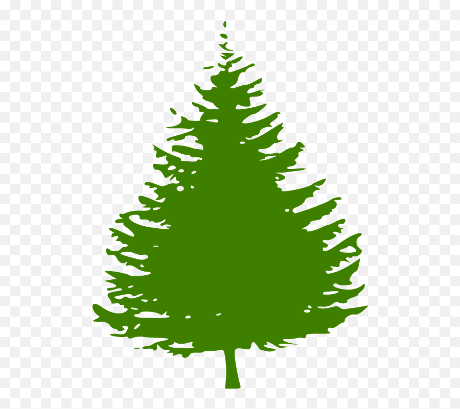 Evergreen Tree Stencil Pine Tree Silhouette Full Size Clipart Black