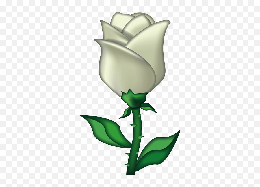 Zonealarm Results Transparent White Rose Emoji,White Flower Emoji