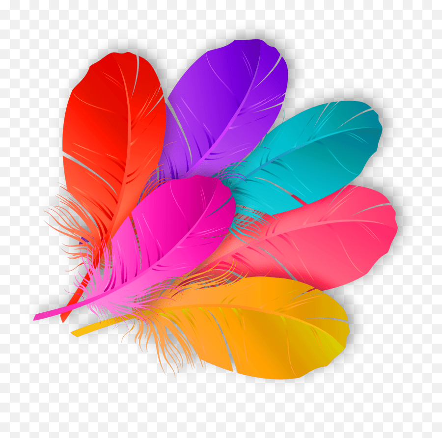 Largest Collection Of Free Toedit Feathers Stickers Picsart Carnival