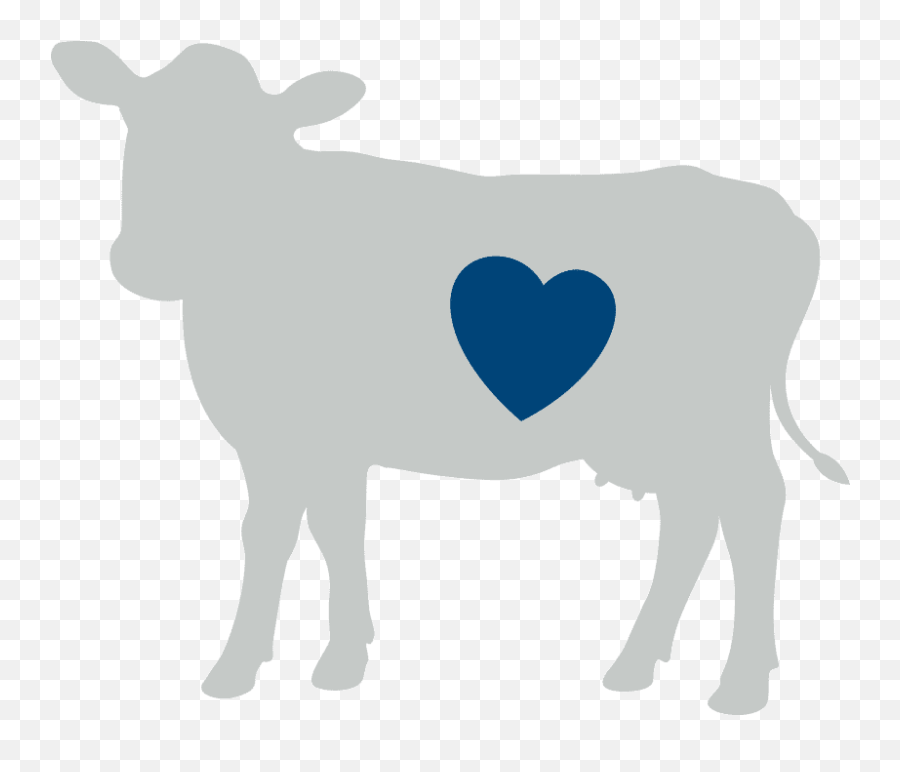 Lactose Free Full Cream Milk Brownes Dairy Sourced Fresh Emoji,Cow