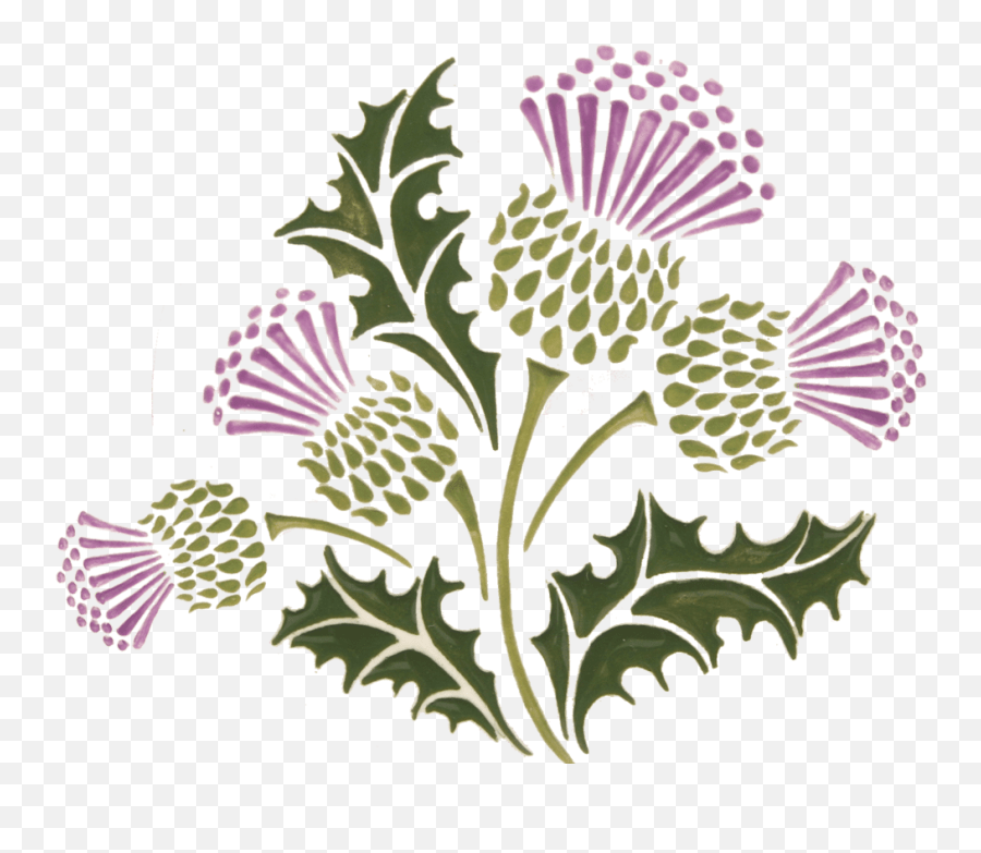 Celtic Thistle Transparent Cartoon Burns Night Thistle Emoji,Thistle