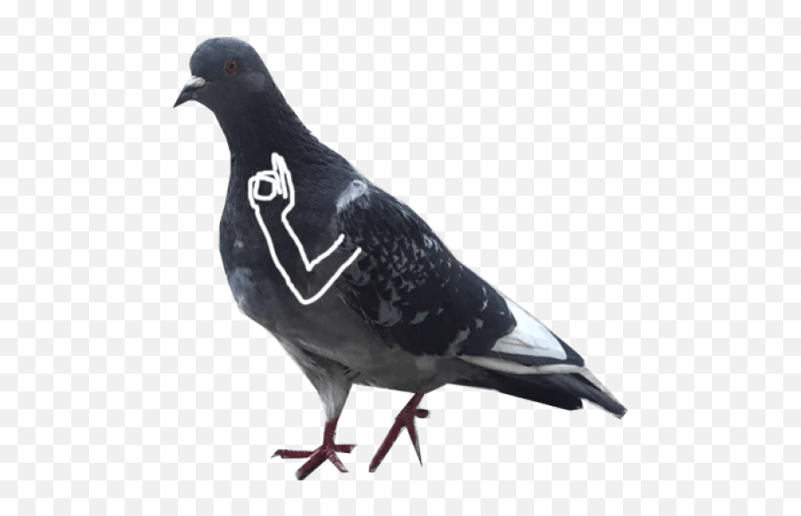Sticker Maker The Pigeon Memes Emoji,Pigeon Emoji Free Emoji PNG