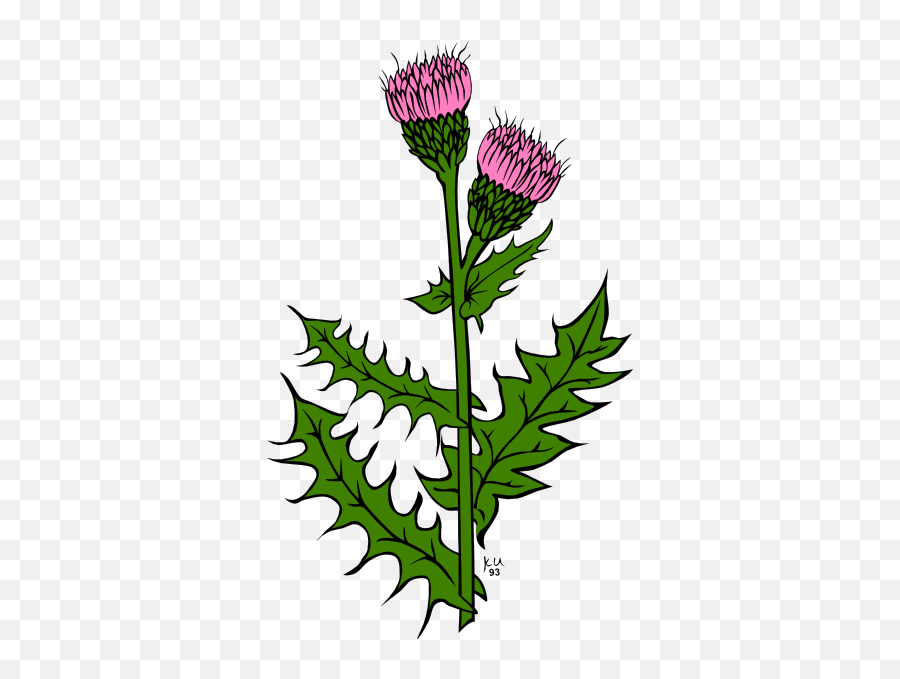 Grass Clip Art Scottish Thistle Drawing Transparent Emoji,Thistle