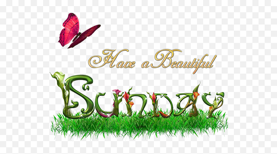 Happy Sunday Gifs Wish You A Happy Sunday Emoji,Gif Asl Emoticon