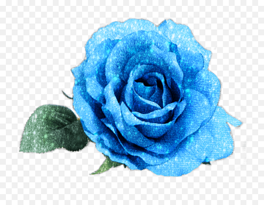 Blue Rose Flower Sticker By Lily Anna Blue Roses Psd Emoji,Blue Rose