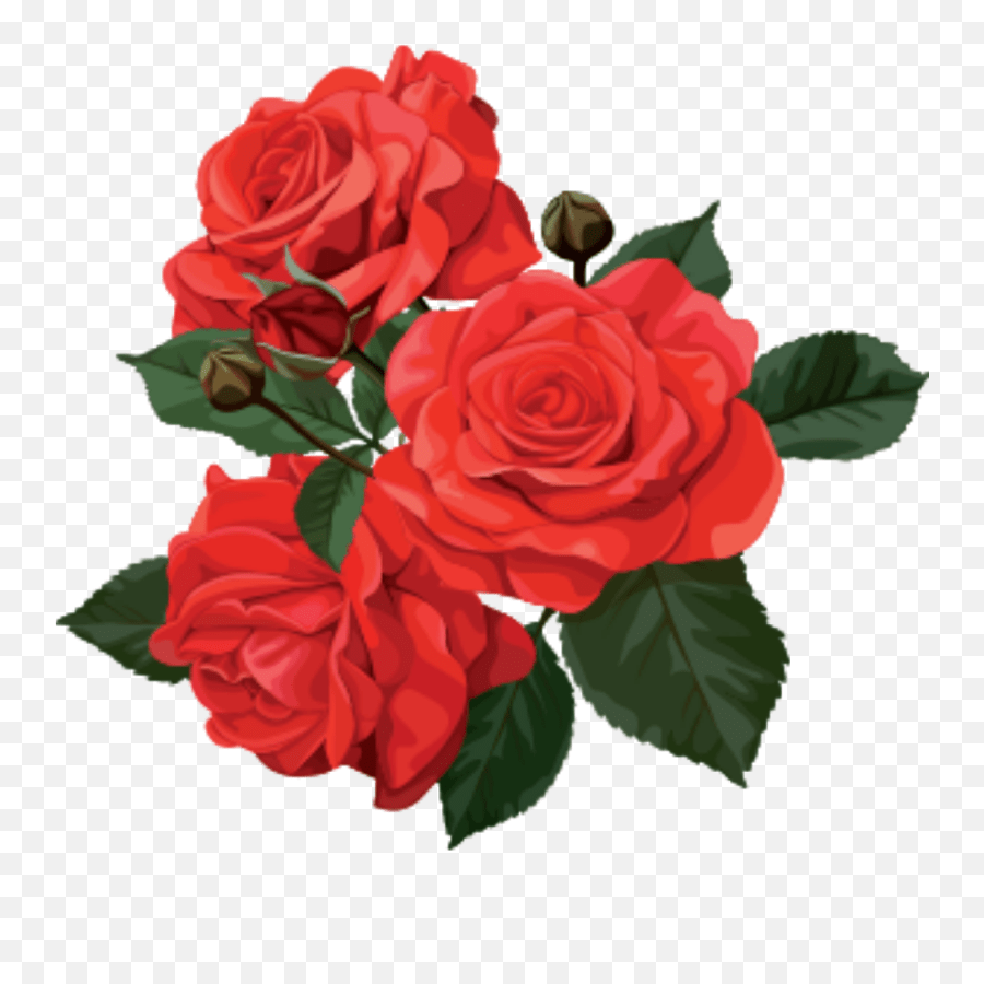 Flower Rose Red Flowers Roses Sticker Bouquet Of Roses Clipart Emoji