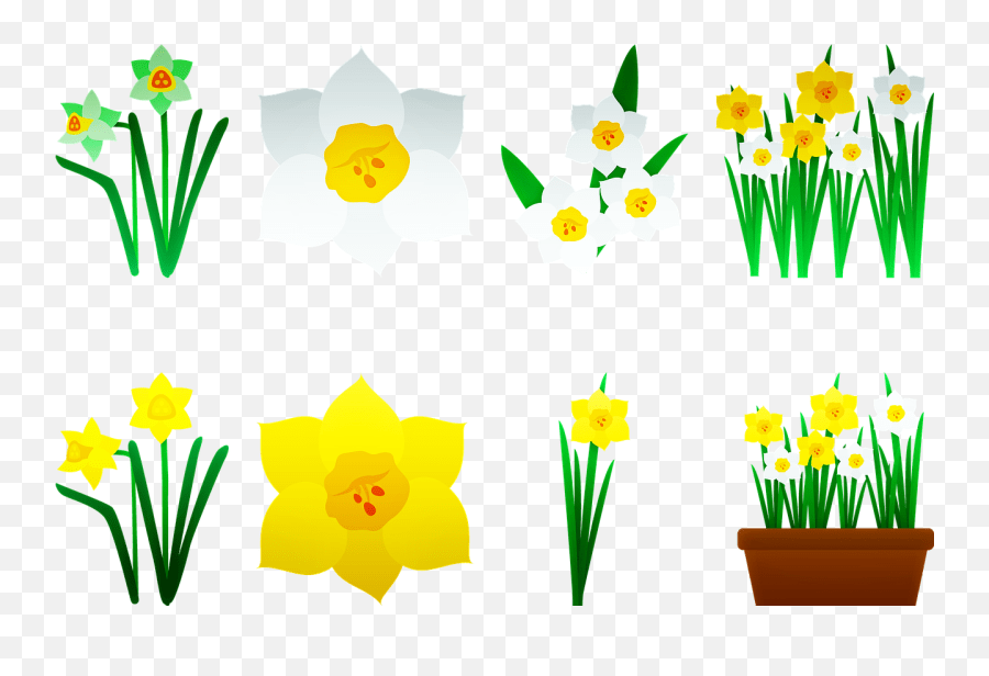 Daffodils Yellow Flower Bloom Public Domain Image Freeimg Emoji,Green Emojis Nature Free