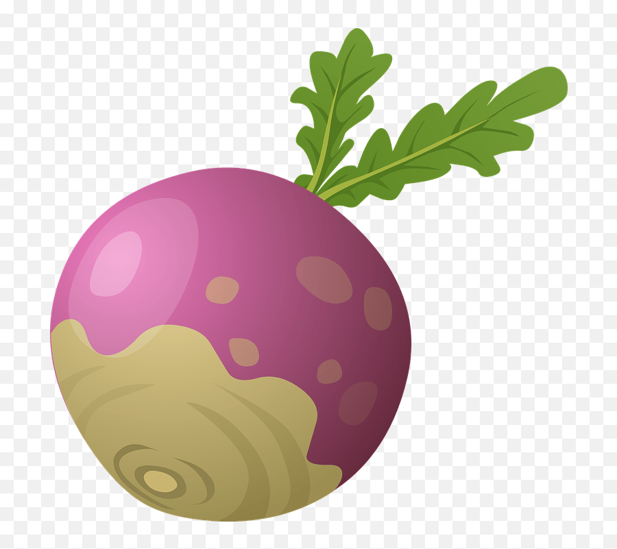 Download Beet Png Image For Free Turnip Clip Art Emoji,Beet Emoji