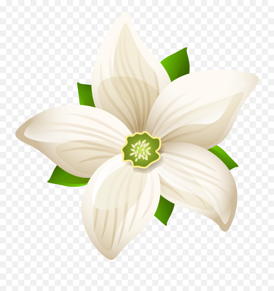 White Flower Clipart Png White Flower Png Transparent Free Emoji,White