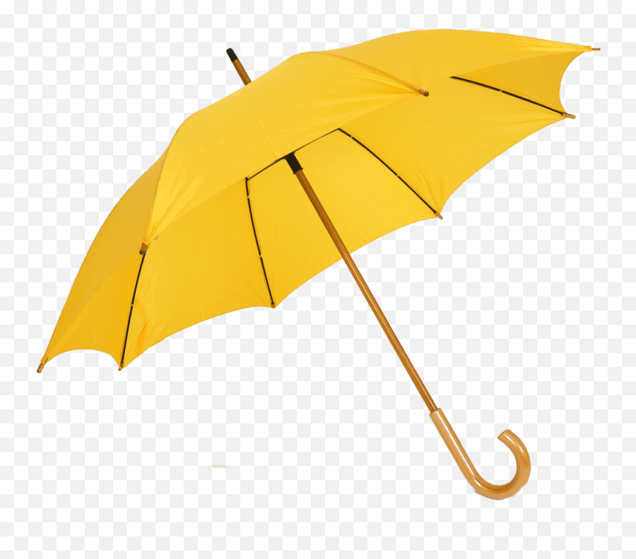 Umbrellas Png U0026 Free Umbrellaspng Transparent Images 18180