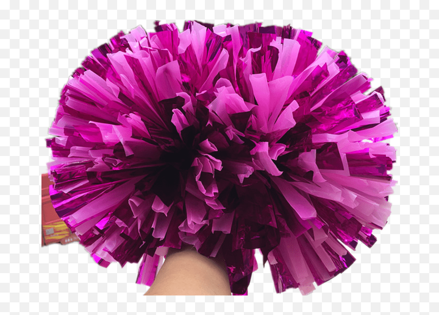 1pcs Plastic Cheerleading Pom Poms Pompompom Poms Aliexpress Emoji