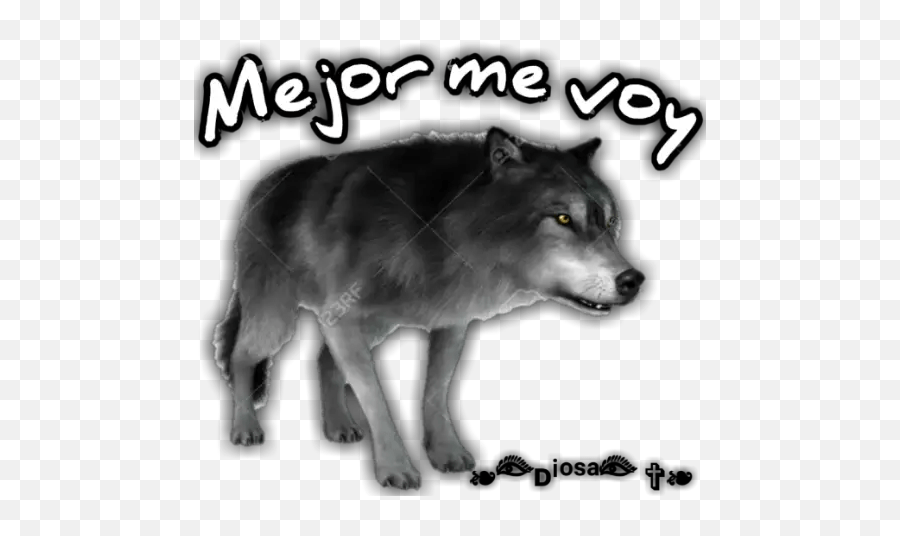 Wolf Stickers For Whatsapp Alaskan Tundra Wolf Emoji,Wolf Emoji