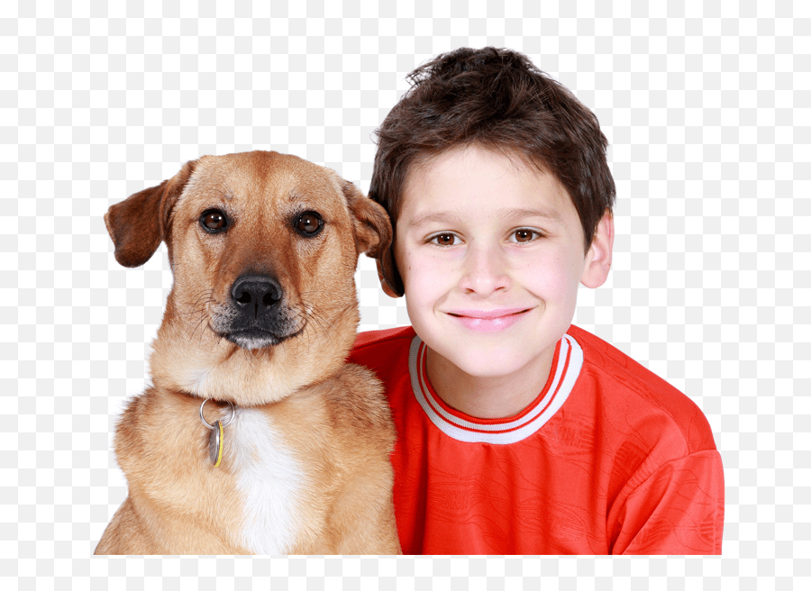 I Love My Dog So Much For Dog Lovers Homepage Emoji,Dog Relaxing In