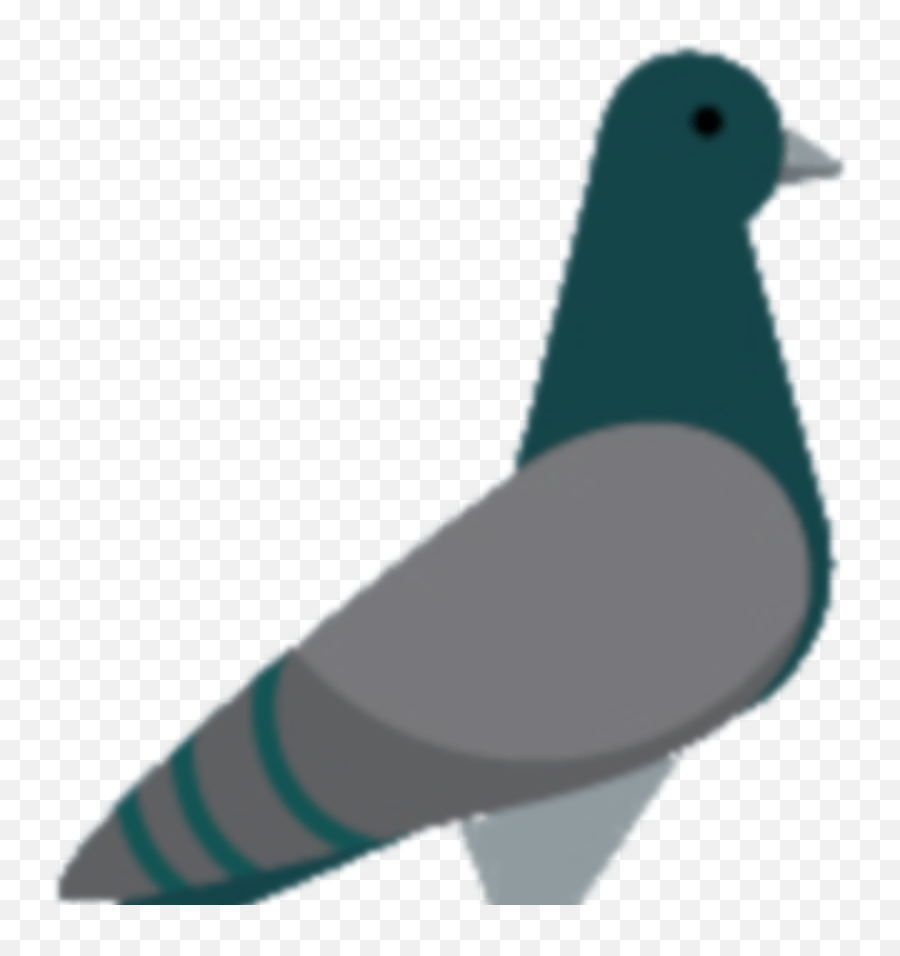 Add The Pigeon Emote To Surviv Pigeon Emote Emoji,Fish Emoticon Text