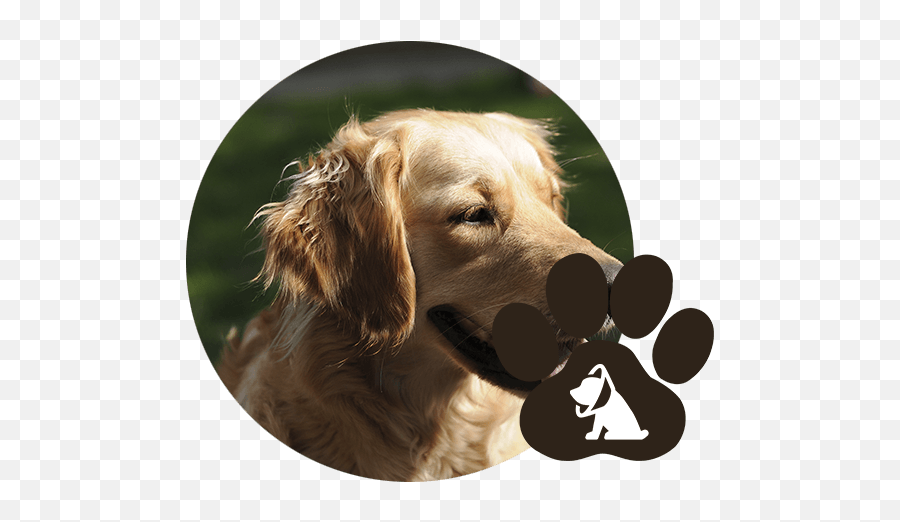 Animal Spay Neuter Emmett Id Dog Body Language Panting Emoji,Neutered
