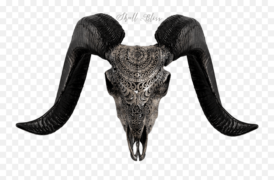 What Do Different Boho Tribal Ram Skull Emoji,Fruits Represnting