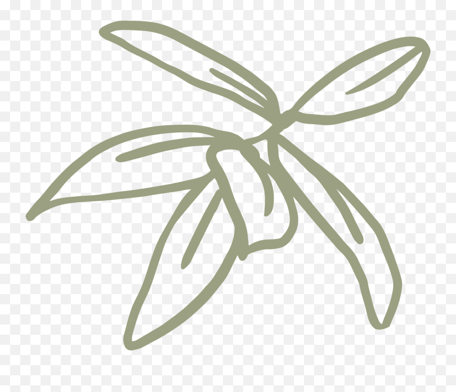 About Me U2014 Kristin Cronic Fine Art Jacksonville Fl Sage Green