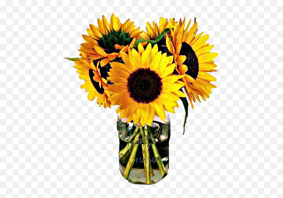The Coolest Flowers Stickers Sunflower Vase Emoji,Flower Emoji Symbol